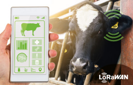AlaiSecure - M2M: LoRaWAN - Ganadería extensiva